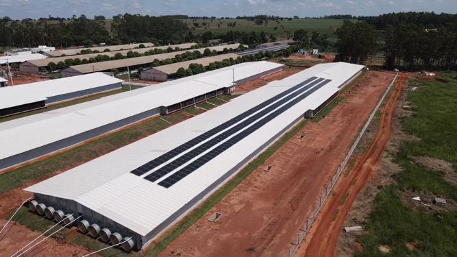 Granja Muraoka - Ivinhema